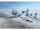 A-10C "Blacksnakes" (1:48) Italeri 2725 - Obrázek