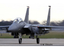 F-15E Strike Eagle (1:72) Revell 03841 - Obrázek