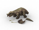 Jurassic World - Triceratops Revell 00242 - Obrázek