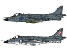 Bae Sea Harrier FRS1 1/72 (1:72) Airfix A04051A - Obrázek