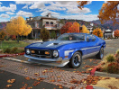 71 Ford Mustang Boss 351 (1:25) Revell 07699 - Obrázek